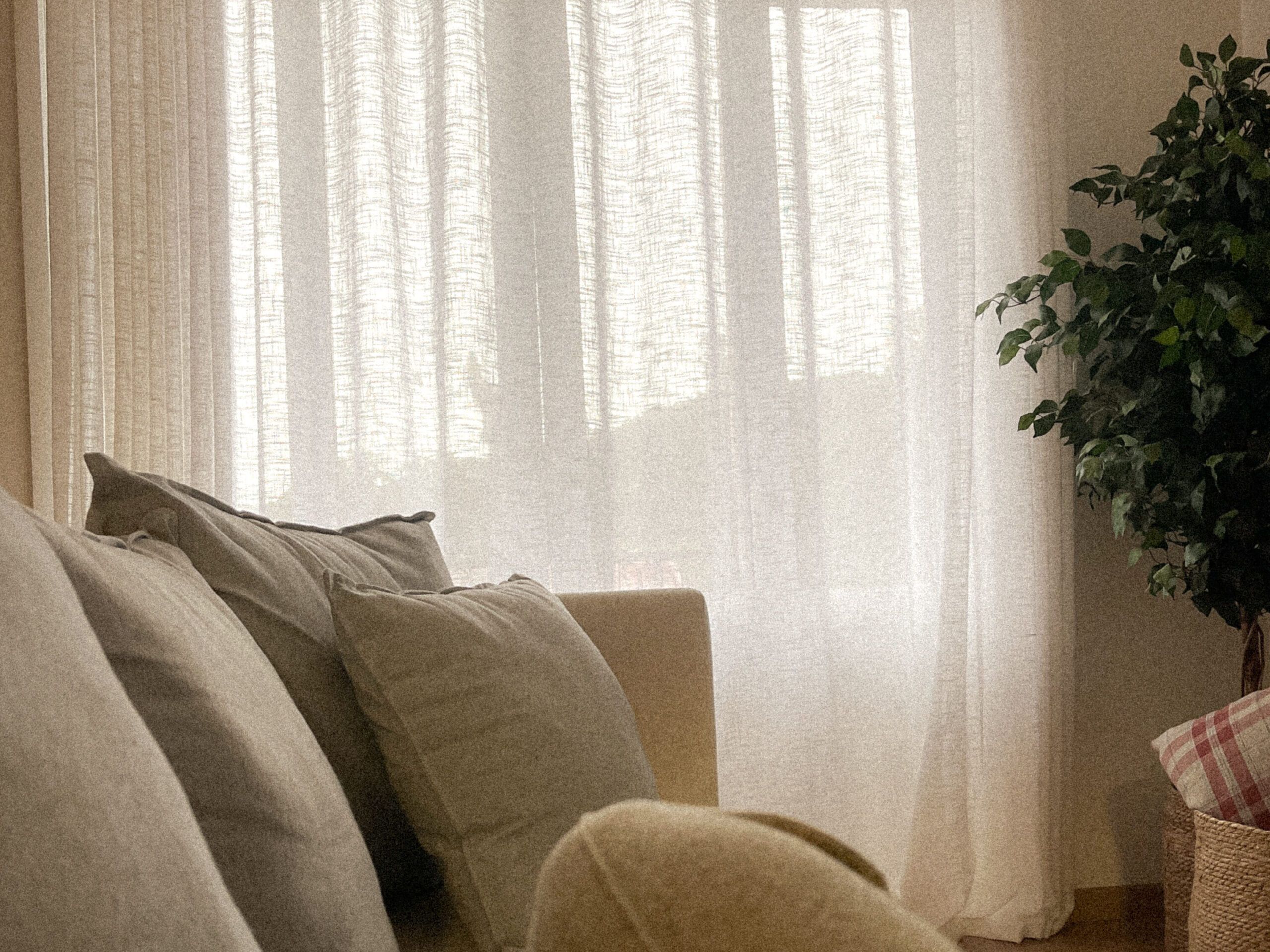 Cozy renovated living room in Spain with natural light, neutral sofa and decorative plants